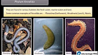 http://study.aisectonline.com/images/Diversity in living organisms II.jpg